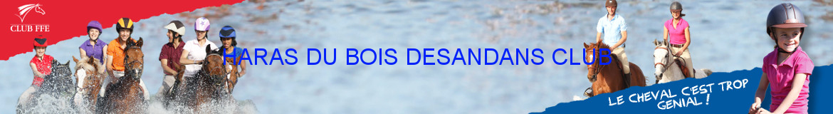 HARAS DU BOIS DESANDANS CLUB